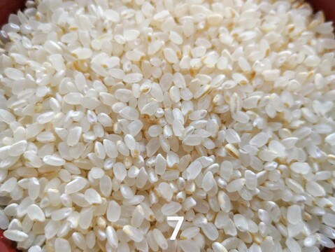 メール便【７分づき＊２ｋｇ 】栽培期間中農薬不使用コシヒカリ【1年間🌱化学肥料除草剤・動物性堆肥不使用】天然資材と有機質肥料✨ＡW2023✨米穀類🥇１位【令和７年産】宅急便コンパクト　全国一律