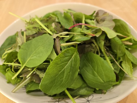 元気たっぷり有機ベビーリーフ500g