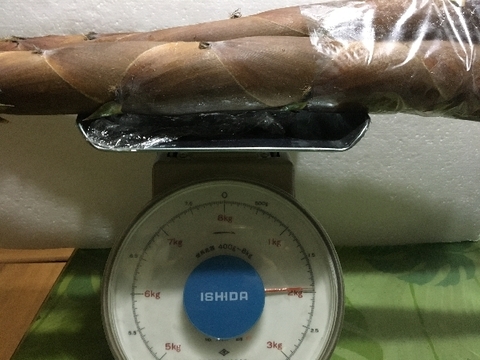 兵庫産たけのこ（はちく）2.0ｋｇ【最短発送】