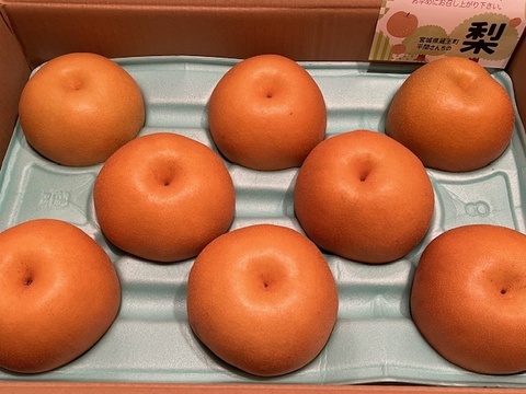 【農薬節減】もぎたて!! 梨 豊水 5kg(10〜16玉) ギフトにも!! 贈答 5キロ【発送9月中下旬〜】