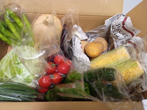 標高800mで育った高原野菜S(9-10品目)野菜セットS