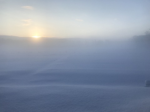 紫花豆🫘【北海道産】農薬化学肥料･除草剤不使用🫘300g☺️メール便