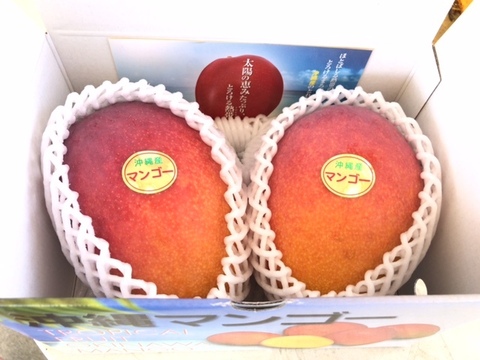 【2021年発送】完熟アップルマンゴー（贈答用1kg）
