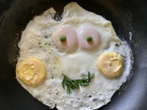 限定販売✨菊池の平飼い有精卵🥚
あっさり美味しい！！（２０個入り）✨