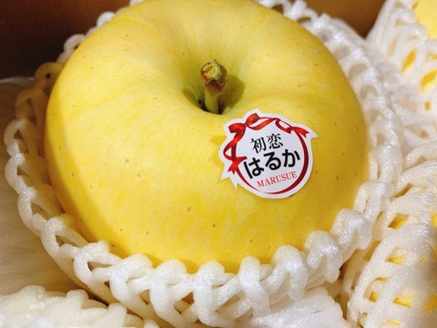 【贈答用】最高級りんご種"はるか"無添加ストレートジュース 「SANNOHE PEAK HARUKA」 720ml