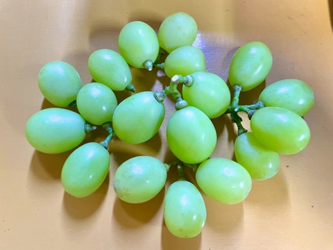 熟度いろいろシャインと、赤緑系ぶどうバラエティパック♪