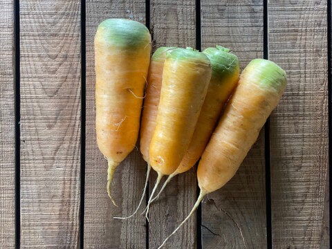 農薬・化学肥料不使用！金美人参5kg