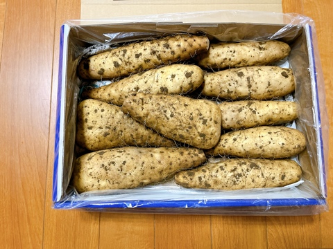 特上野菜セット、ネギ6Kg、大和芋4Kg、ゴボウ２本、人参500g