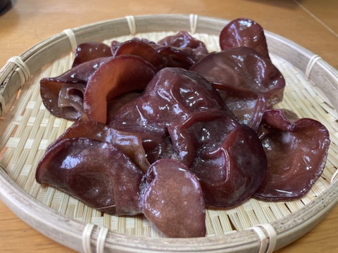 有機JAS認証『生きくらげ』100g×5P