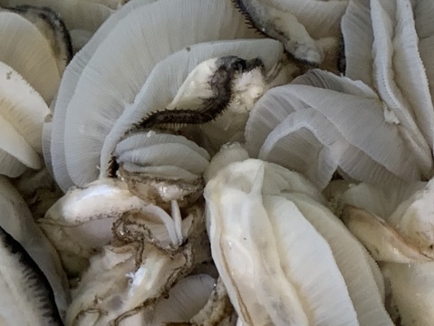 味！鮮度に自信あり！　広島産生牡蠣　むきみ　700g　生食用　１粒ずつ手で選別します！　清浄海域　垂下式