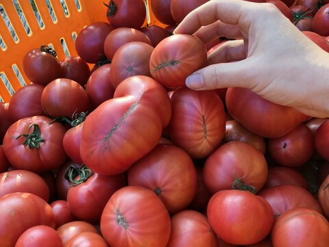 【旬終盤・お買い得3kg×2箱】アルテトマトなかま☆深い旨味の高糖度トマト～13%OFF～