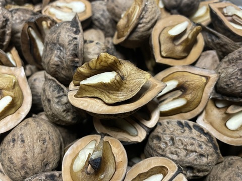 良質な脂肪酸がたっぷり！オニグルミのむきくるみ 家庭用 50g✖︎10パック