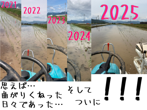 予約です‼︎  もっちもちの25年度産新米!!　信州上田産コシヒカリ玄米5kgx2袋 おむすび お弁当に!!　令和7年 農家直送