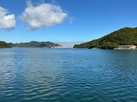 孫も大好き！『五島列島産』生あおさ！
小分け用　400g