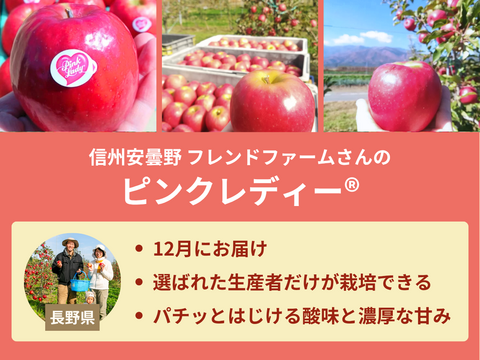 【限定300セット】りんご食べ比べ便第2弾※送料込※（食べチョク公式）