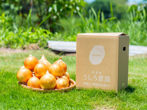 【小玉】淡路島玉ねぎ！加熱で甘みたっぷり♪♪ 5kg【ひょうご安心ブランド認証】