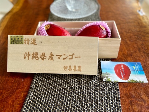 【夏ギフト】沖縄県産マンゴー1キロ（2～3個入り）木箱入り【熨斗対応可】