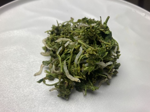 天然　山椒の新芽　500グラム　冷凍　京都産