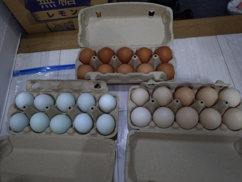 【10個×3パック】オススメ！南阿蘇村 平飼いニワトリの「3色たまご」食べ比べセット★