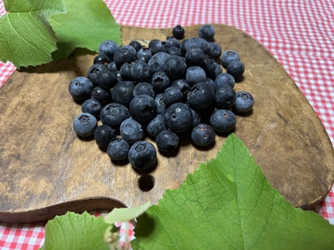 【農薬不使用】フレッシュ！収穫してすぐ発送ブルーベリー&青島みかんストレートジュースセット