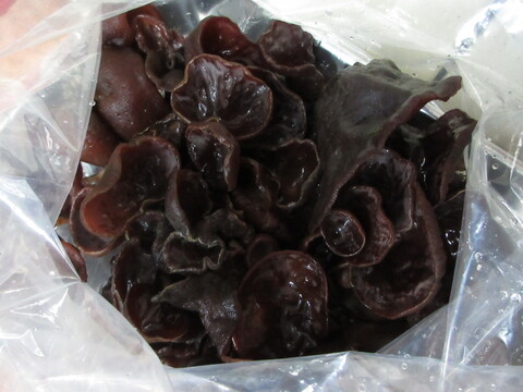 ★天然 キクラゲ 生 肉厚 1キロ