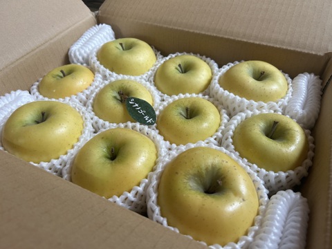 シナノゴールド約3キロ箱(家庭用)8〜11玉⭐️ ID184671  甘酸っぱい りんご