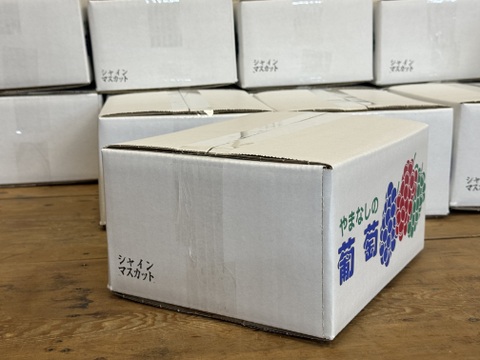 山梨県産【シャインマスカット】ご家庭用(訳あり品) 粒売りパック詰め1kg 種無し　本州のみ　常温便