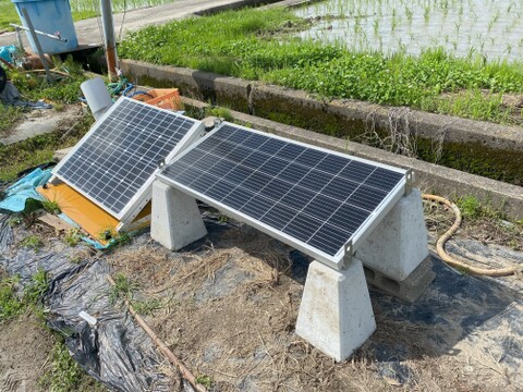 ★令和7年　新米「あきさかり」無洗米3Kg