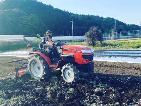 【完熟】樹上完熟！嘉穂トマト2kg