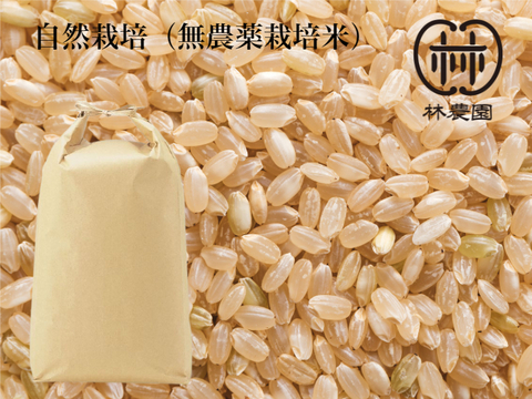やまつきで育てた美味しさ! 自然栽培(無農薬栽培)・ヒノヒカリ玄米 5kg(令和3年10月収穫・未検査米)