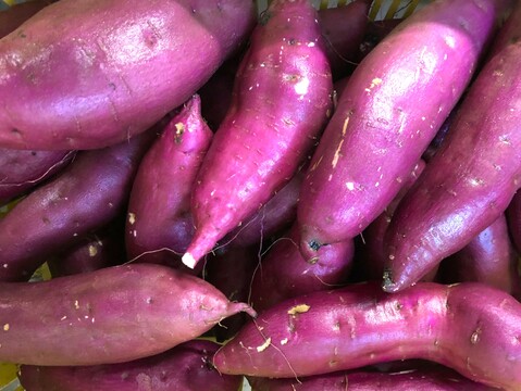 【自然栽培】のサツマイモ紅はるかで作った甘くておいしい皮つきまるまる干し芋（150g入）