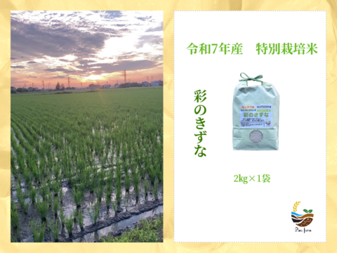 R7年産特別栽培米　彩のきずな　2㎏