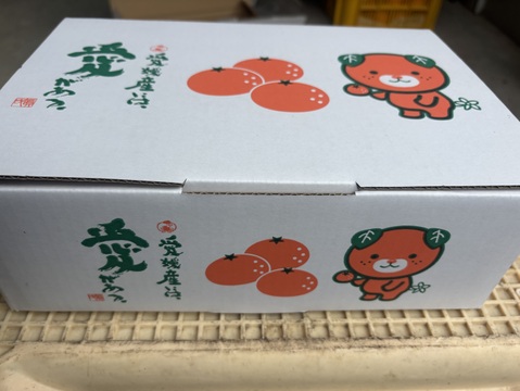 【化粧箱6個入　まどんな　 愛媛県産　ゼリーのような食感　愛果28号　除草剤使用無 万田酵素散布】