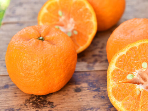 【濃厚な甘さが魅力】ポンカン【贈答用(特選品)】10kg 317-2