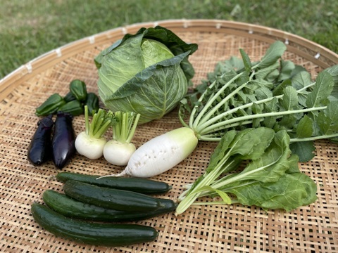 山のミネラルたっぷり野菜セットSサイズ1～2人用