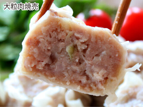 【ギフト】ジャンボ焼売を2種楽しめる　元気豚 焼売2種セット（2種4品）【熨斗対応可】