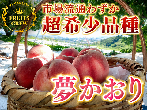 【市場流通ごくわずか超希少品種】夢かおり🍑本場山梨の品種指定キャンペーン🍑シャリ甘の秋映え桃☆特別な贈り物に🍑お得な大容量パッケージ約2㎏🍑9月上旬～発送🍑