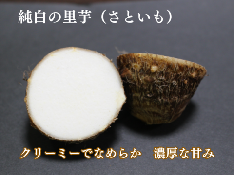 🌄お買い得❗３種類 大地の慶びセット５㎏【福袋】【冬ギフト】