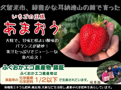 福岡県特産「あまおう」1kg 大粒！福岡県エコ農産物認証・こだわり栽培！