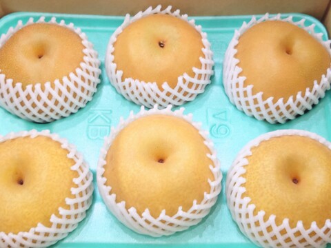 夏と秋の競演！幸水・豊水詰め合わせ約5kg