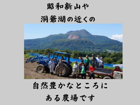 風味豊かな農薬不使用の有機黒豆 800g  北海道の大地で育った「いわいくろ」　令和7年度産　１２月１８日ころから発送予定