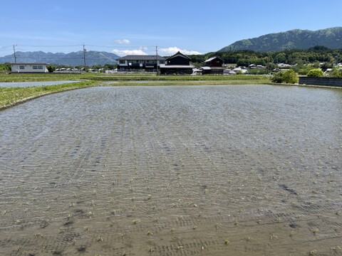 伊賀コシヒカリ 令和7年産 白米5kg(箱込み)  ～忍者の里が育んだ至高の一粒～