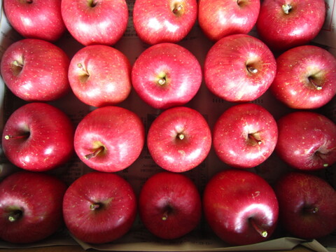 美味しい小玉 樹上完熟サンふじ 総重量 約4kg前後 青森県 南部地方産 自家りんご農園生産直送品！