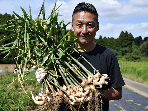 【数量限定】収穫したてのフレッシュな新生姜をお届けします！『2023_新生姜』1kg