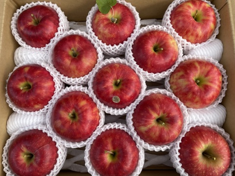 特選　ジョナゴールド　約5kg【2025年産】