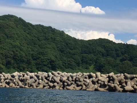 海のミルクたっぷり新潟県村上市山北産天然岩ガキMサイズ20個入り！