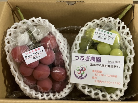 金賞受賞！クイーンニーナと品種おまかせセット1.2kg