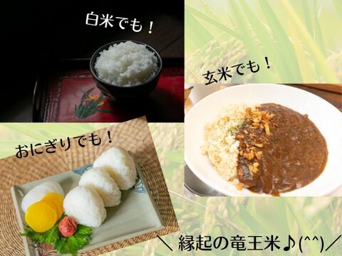 【リオレのレシピ付き】【令和4年産新米】特別栽培米夢つくし「縁起の竜王米」 玄米5kg