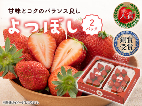2パック｜甘味とコクのバランス良し！鮮やかな赤色いちごのよつぼし500g