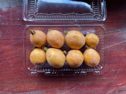 【自然栽培・旬の味覚】稀少な宮城県産 びわの実3パック びわの葉のおまけ付き